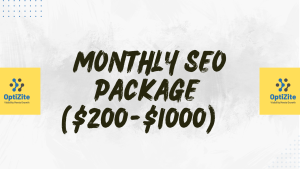 Monthly SEO Packages, LOCAL SEO, AUDIT